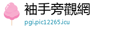 袖手旁觀網